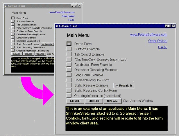 ShrinkerStretcher for MS Access 2002 Screenshot